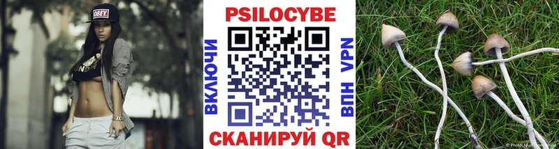 darknet как зайти  дарнет шоп  Заозёрный  Псилоцибиновые грибы Cubensis 